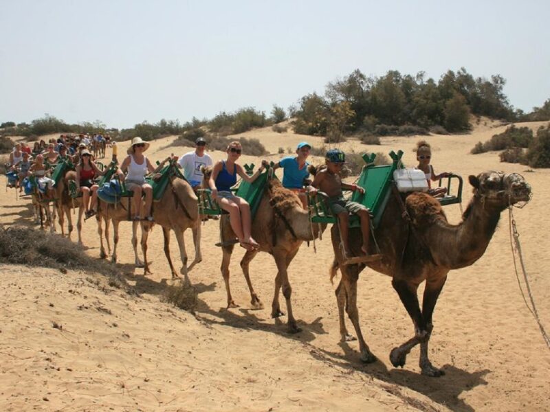 E-Bike City Tour With Camel Safari on Maspalomas Sand Dunes - Participant Age and Weight Requirements