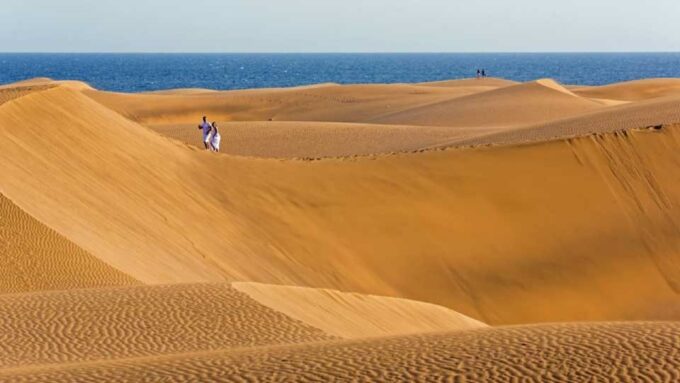 E-Bike City Tour With Camel Safari on Maspalomas Sand Dunes - Booking Information and Cancellation Policy