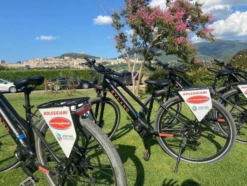 E-Bike Citybike Rental - Full Day - Participant Restrictions