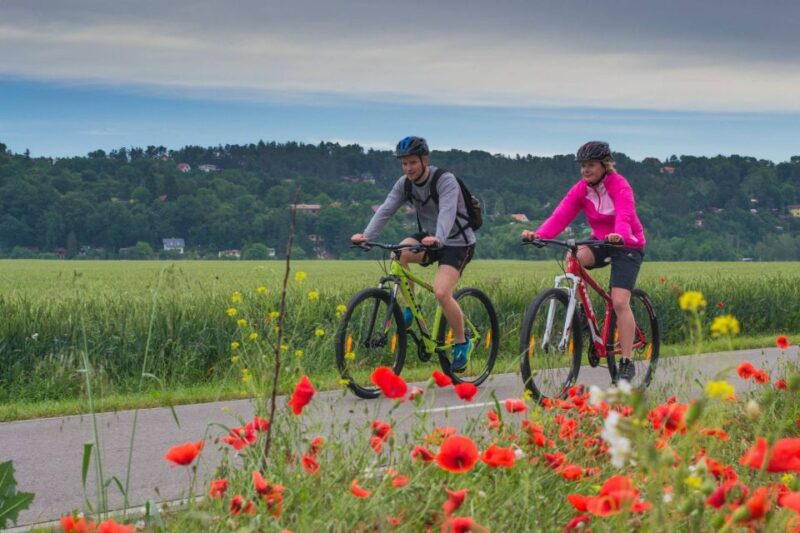 E-Bike Day Trip: Visit a Roman Castle and Taste Craft Beer - Scenic Cycling Route