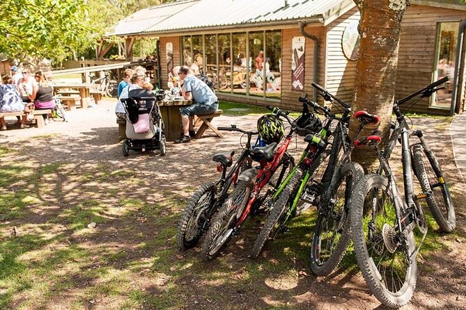 E-Bike Day Trip With Lunch to Harrys Rock or Corfé Castle - Accessibility and Restrictions