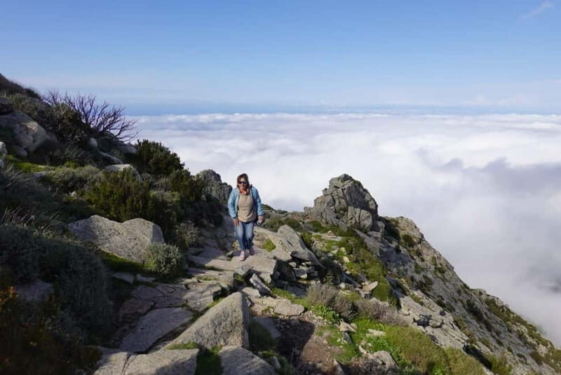E bike Excursions and Lunch in Monte Capanne - The Value of the Experience