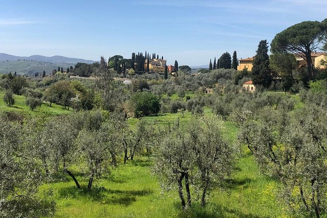 E-Bike Florence Tuscany Self-Guided Ride With Vineyard Visit - Customer Reviews