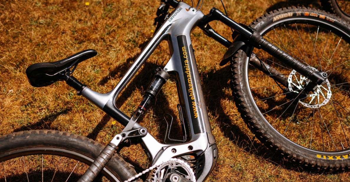 E-Bike Guided Tour - Belle Vue Mountain Biking - Bike Details