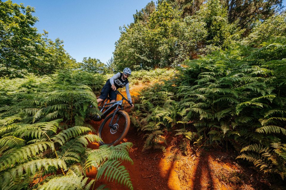 E-Bike Guided Tour - Belle Vue Mountain Biking - Start Point