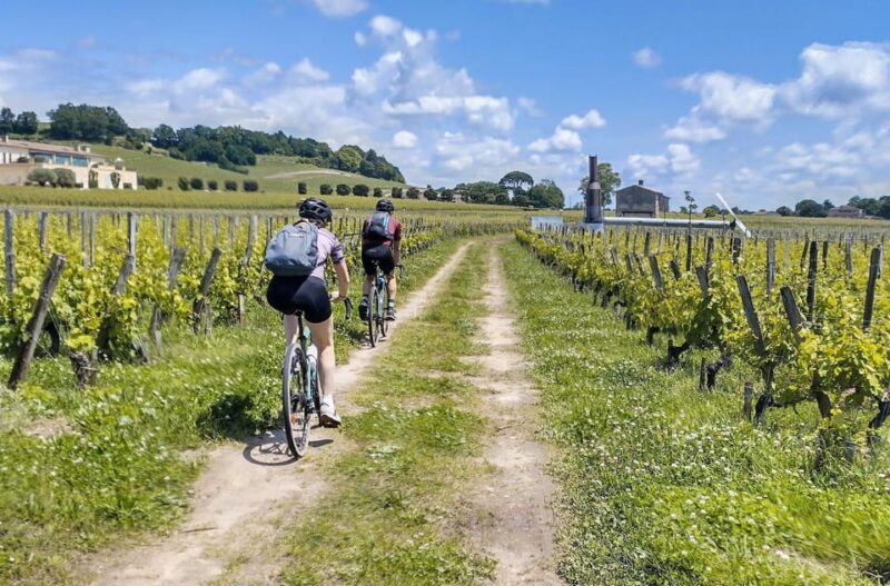 E-Bike Journey From Bordeaux to Saint-Emilion - The Bridge of Branne