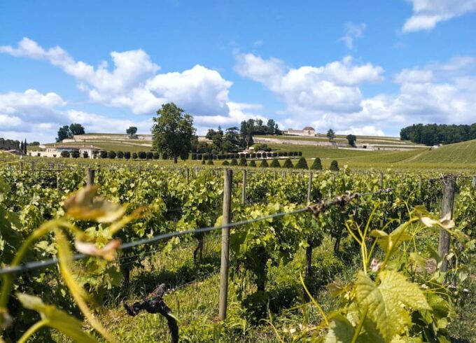 E-Bike Journey From Bordeaux to Saint-Emilion - Tasting Exceptional Wines