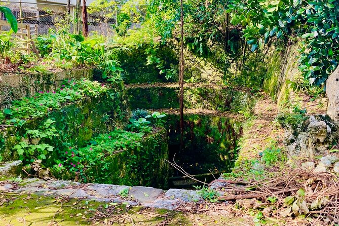E-Bike Nature Tour in Shuri - Inclusions