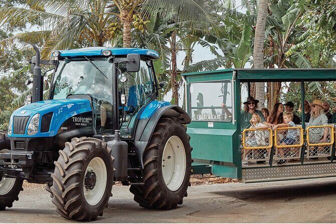 E-bike Rail Trail & Tropical Fruit World Tour: Gold Coast & Byron - Final Verdict