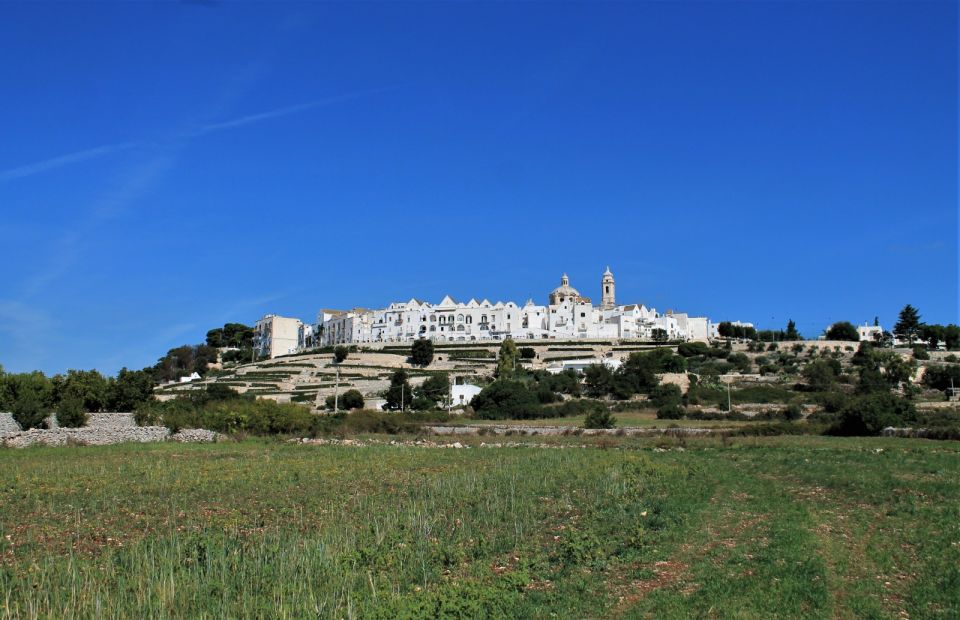 E-Bike Ring Tour Between Martina Franca and Locorotondo - Riding Through Vineyards and Trulli