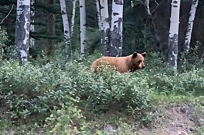 E-Bike Safari Eco Tour - What’s Included and What to Bring