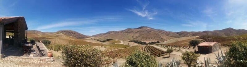 e-Bike Through Douro Valley Wine Region for Half Day Tour - Key Points