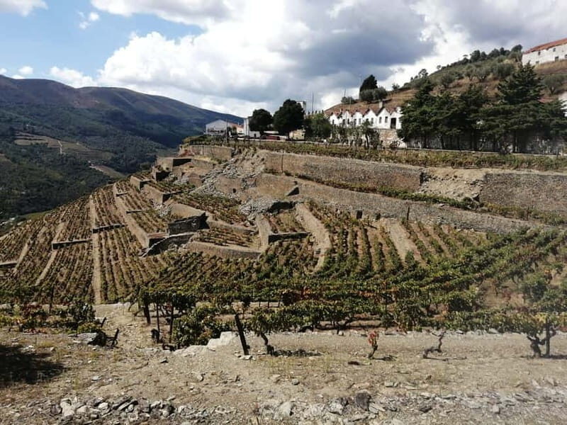 e-Bike Through Douro Valley Wine Region for Half Day Tour - Authentic Experiences and Local Insights