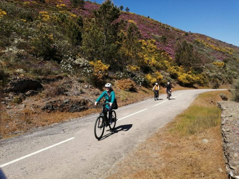 e-Bike Through Douro Valley Wine Region for Half Day Tour - Who Will Love This Experience?