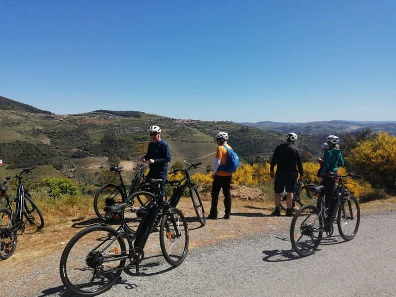 e-Bike Through Douro Valley Wine Region for Half Day Tour - Final Thoughts on Value and Experience