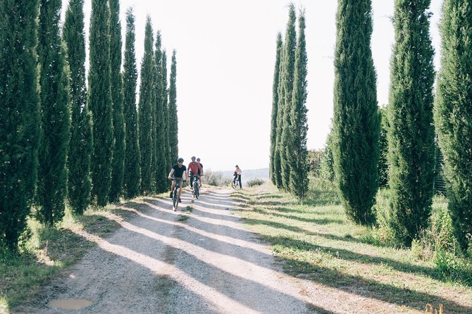 E-Bike Tour and Wine Tasting From Siena - Accessibility Information