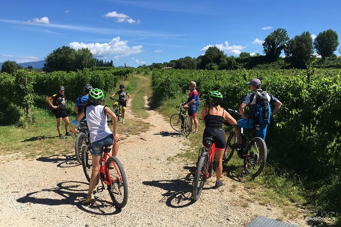 E-Bike Tour and Wine Tasting in Lazise - Booking and Restrictions