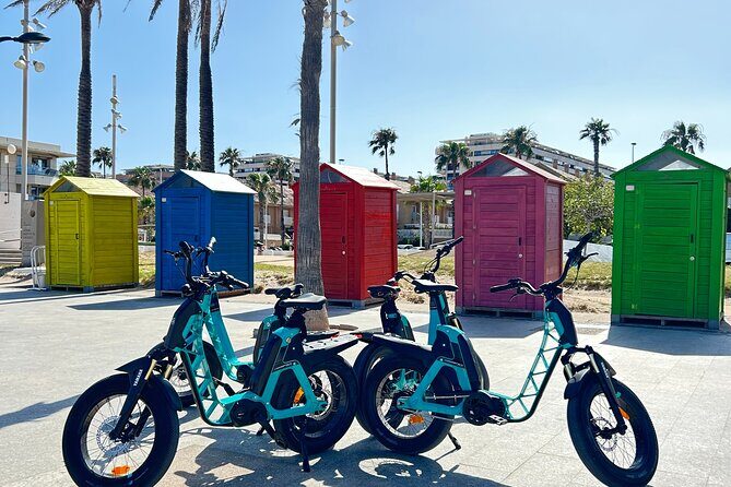 E-bike Tour: Beaches, & City of Arts and Sciences (From 30,00) - A Practical Look at the E-bike Tour
