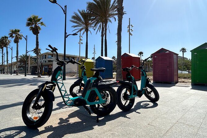 E-bike Tour: Beaches, & City of Arts and Sciences (From 30,00) - FAQ