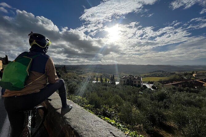 E-Bike Tour: Explore the Chianti, its Enogastronomy and Castles - What the Tour Offers: An In-Depth Look