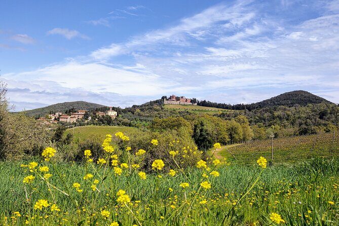 E-Bike Tour: Explore the Chianti, its Enogastronomy and Castles - Final Thoughts