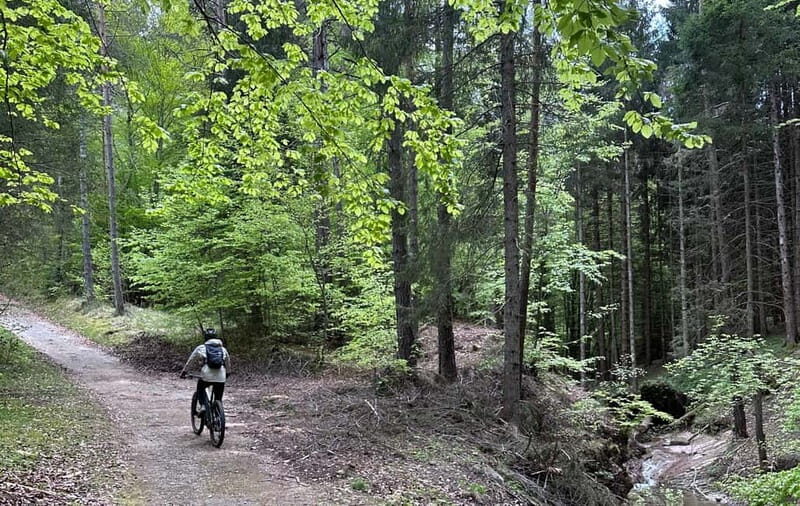 E-BIKE TOUR & Flavours at Fausior Mount - What to Expect from the Tour