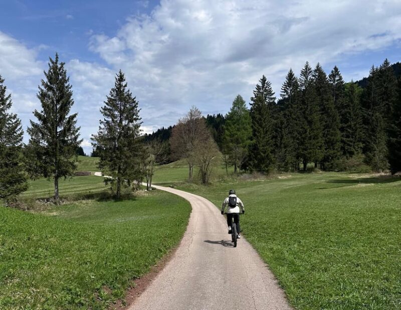 E-BIKE TOUR & Flavours at Fausior Mount - Who Should Consider This Tour?