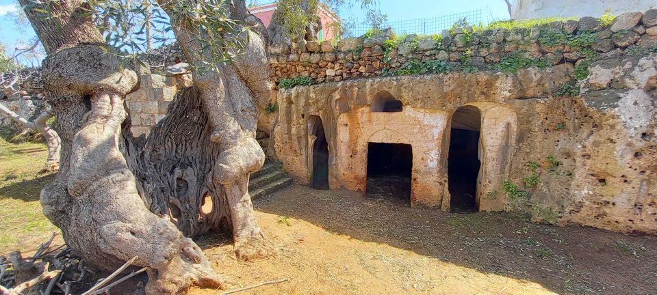 E-Bike Tour From Monopoli to the Rocky Village of St. Andrew - Key Points