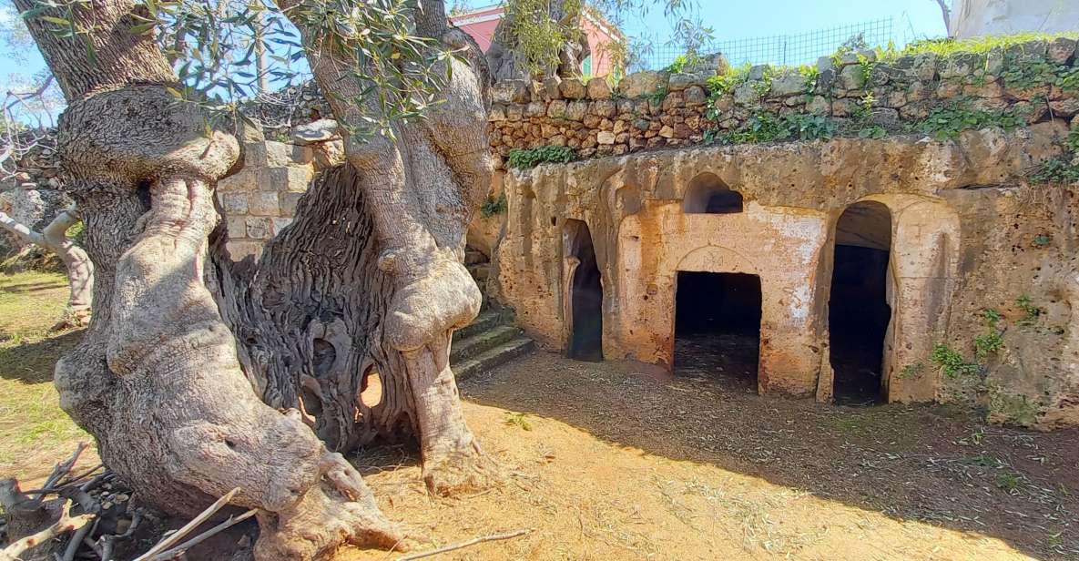 E-Bike Tour From Monopoli to the Rocky Village of St. Andrew - Booking Information