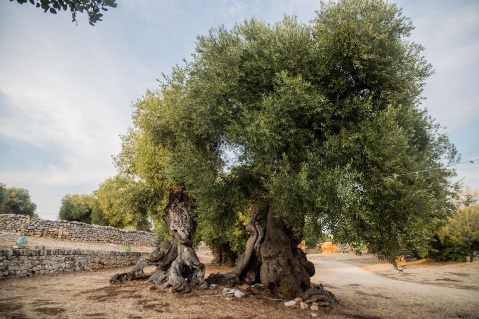 E-Bike Tour From Monopoli to the Rocky Village of St. Andrew - Frequently Asked Questions