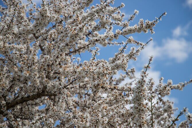 e-bike tour from Polignano a Mare to the fishing village S. Vito - Authentic Experiences and Authentic Flavors