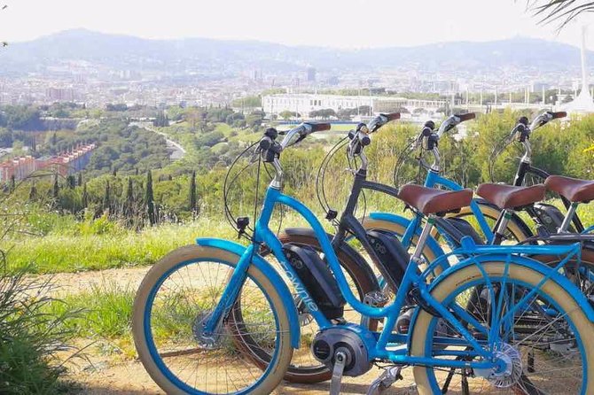 E-Bike Tour in Barcelona With English Guide - Accessibility
