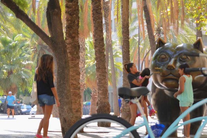 E-Bike Tour in Barcelona With English Guide - Additional Details