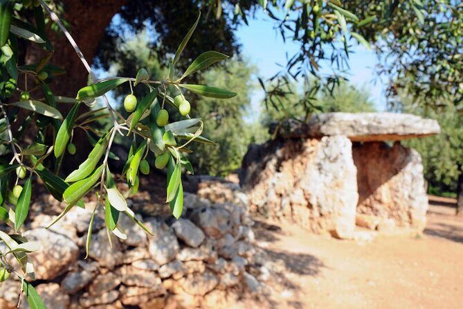 E-bike tour in Ostuni. Oil mill, Dolmen and huge olive trees - The Sum Up: Who Will Love This Tour?