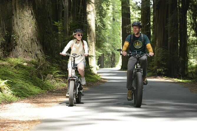 E-Bike Tour in the Avenue of the Giants Redwood Forests - 4 Hours - Key Points