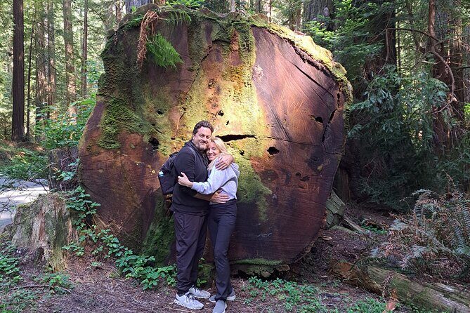 E-Bike Tour in the Avenue of the Giants Redwood Forests - 4 Hours - Overview of the Redwood E-Bike Tour