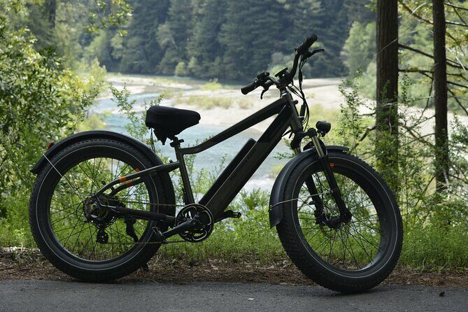 E-Bike Tour in the Avenue of the Giants Redwood Forests - 4 Hours - Who Will Love This Tour?