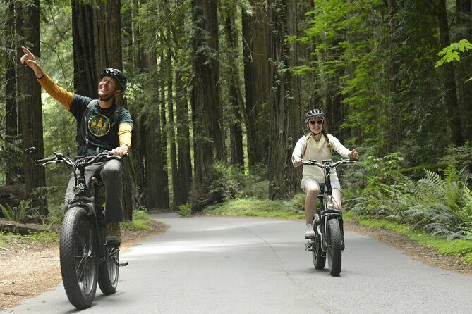 E-Bike Tour in the Avenue of the Giants Redwood Forests - 4 Hours - The Sum Up: Is This Tour Right for You?