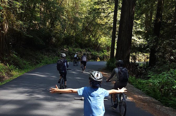 E-Bike Tour in the Avenue of the Giants Redwood Forests - 4 Hours - FAQs