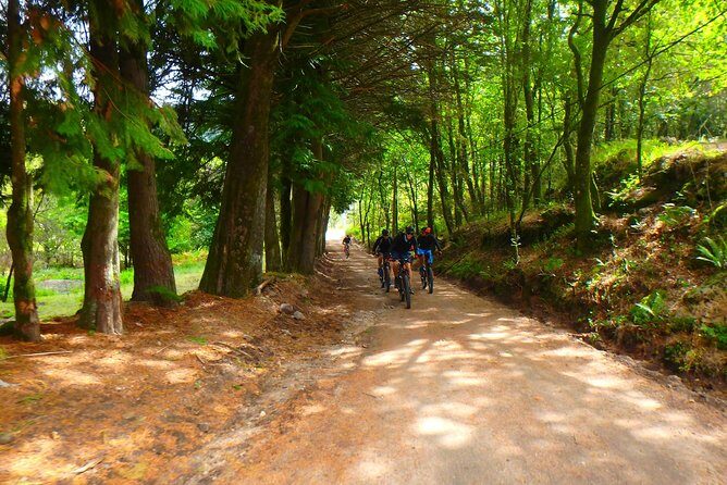 E-bike Tour: Peneda Geres National Park - Serra Amarela - What the Reviews Say