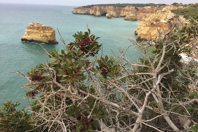 E-Bike Tour: Sete Vales Suspensos Trail (Marinha and Benagil) - Local Insights and Recommendations