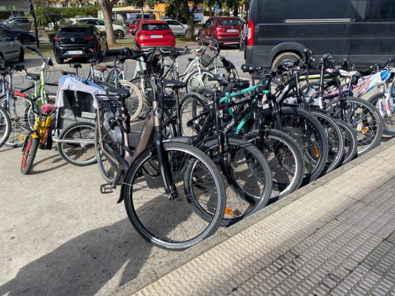 E-Bike Tour Through Marbella/ Puerto Banús and San Pedro - Tour Highlights