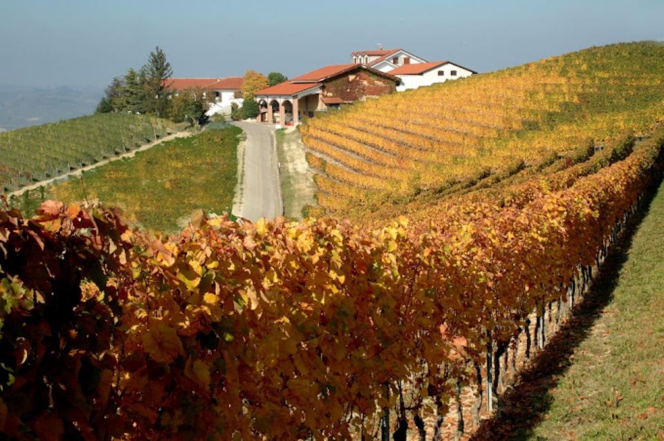 E-Bike Tour With Wine Tasting in Cellar - Cycling Through Scenic Landscapes