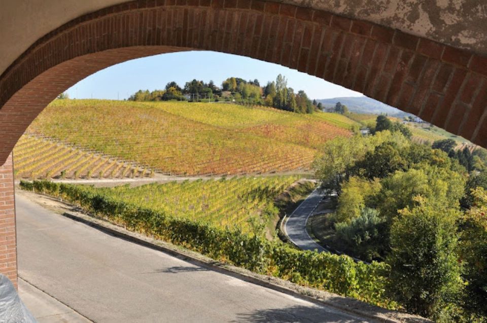 E-Bike Tour With Wine Tasting in Cellar - Frequently Asked Questions