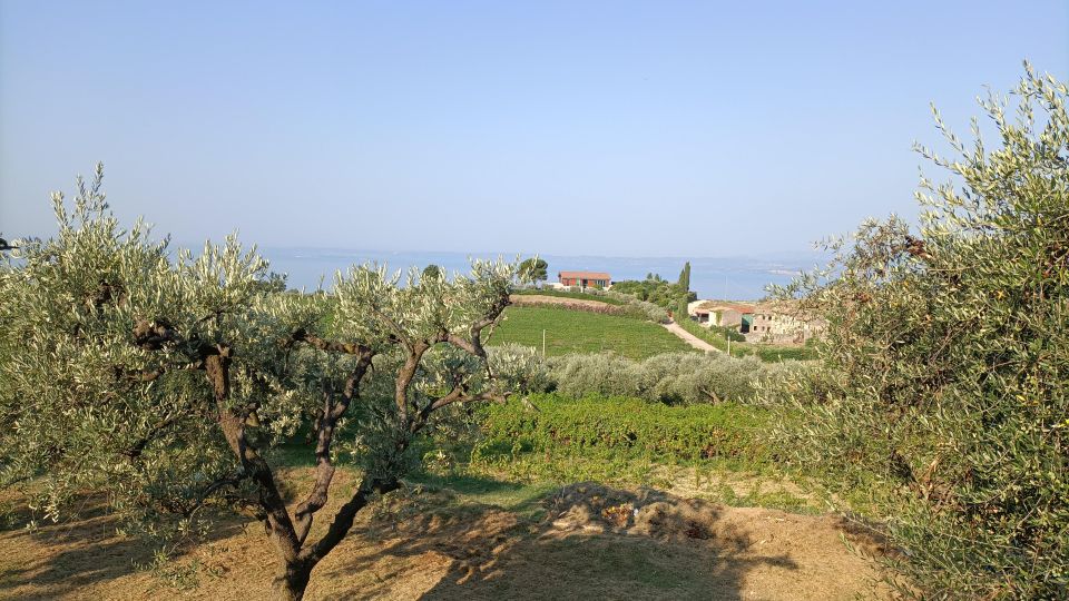 E-Bike Tour With Wine Tasting in the Bardolino Area - Bardolino Hinterland Exploration