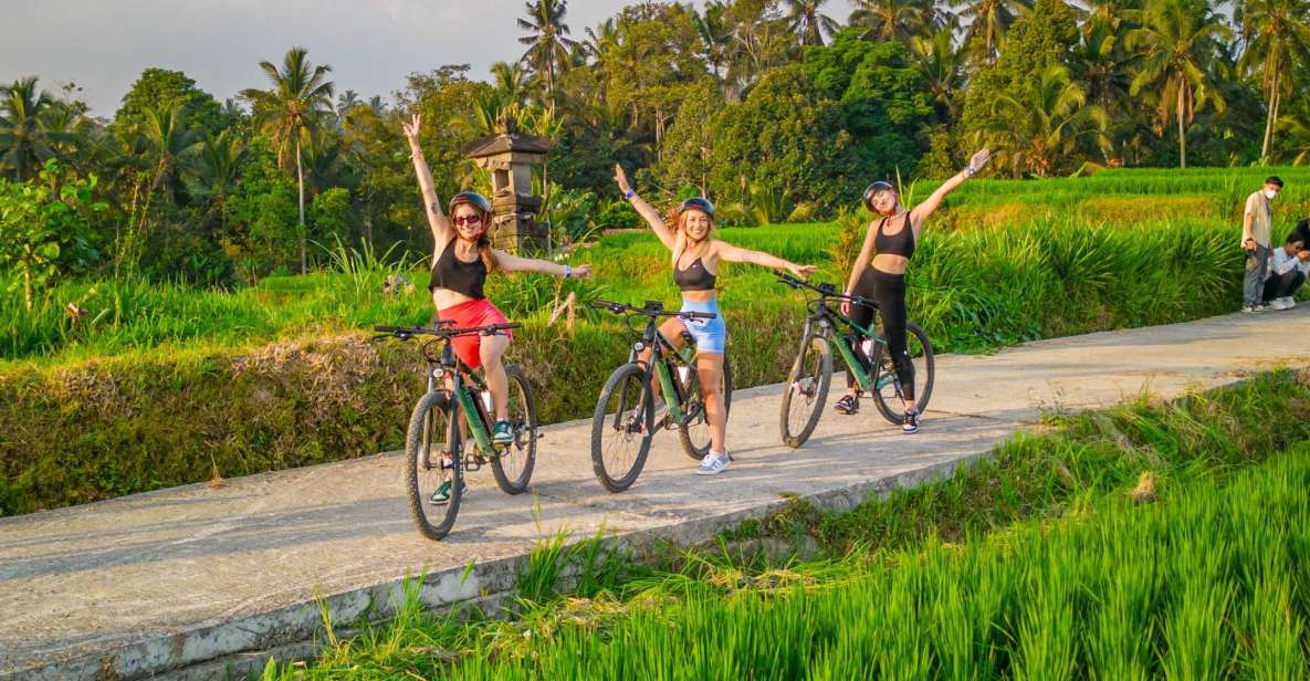 E-Bike: Ubud Rice Terraces & Traditional Villages Cycling - Key Points