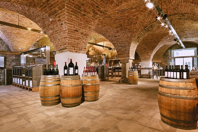 E-Bike Wine Culture Tour - Health Restrictions