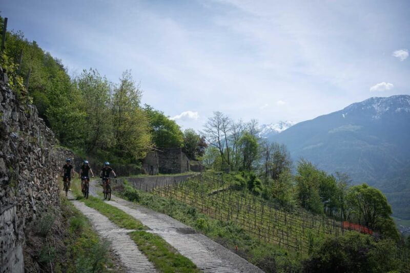E-Bike Wine Tour with Indomita - Key Points