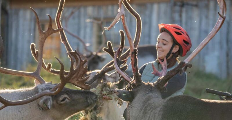 E-FATBIKE TRIP TO THE REINDEER FARM - Pricing Details