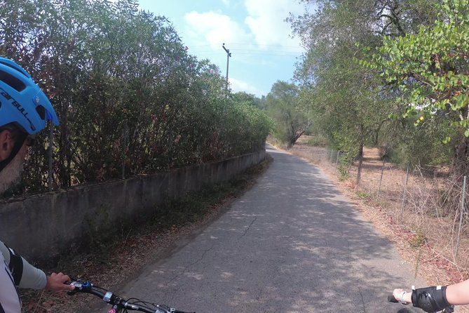 E-Mtb Tour - Durrells Farm & Crab Lake Review - Key Points